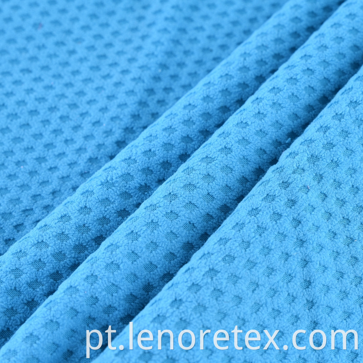 Polar Fleece Fabric